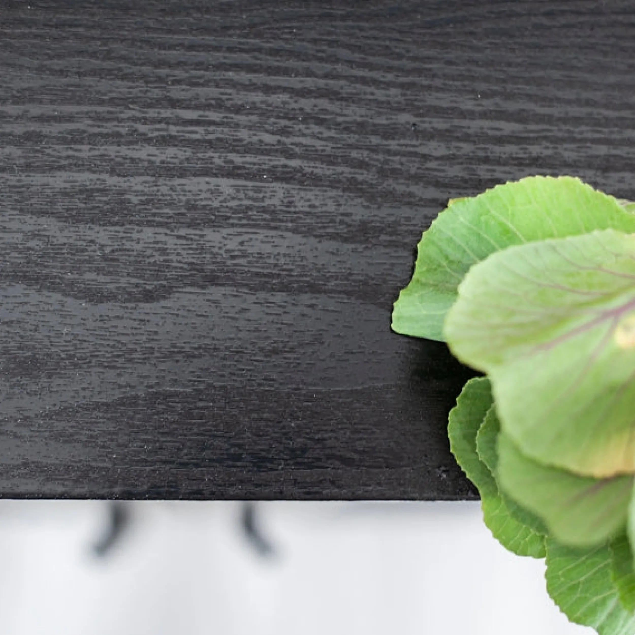 Sale Blackwood kontaktplast Bord | Benkeplate