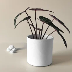 Outlet Cylinder potte 14 cm hvit Potter Og Vaser