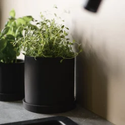 Sale DBKD Grow potte med fat large sort Potter Og Vaser