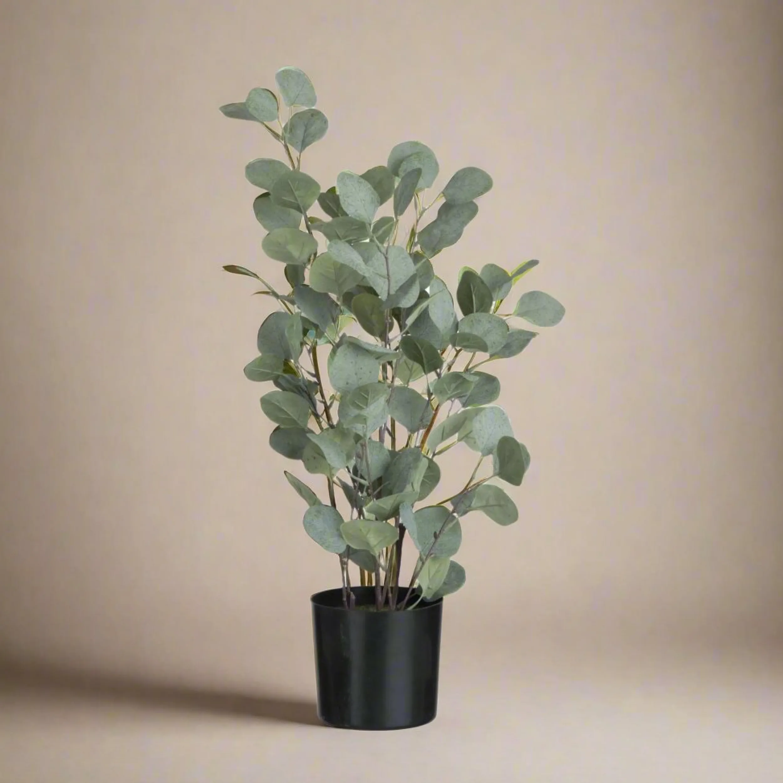 Best Eukalyptus i potte 60 cm Kunstige Planter