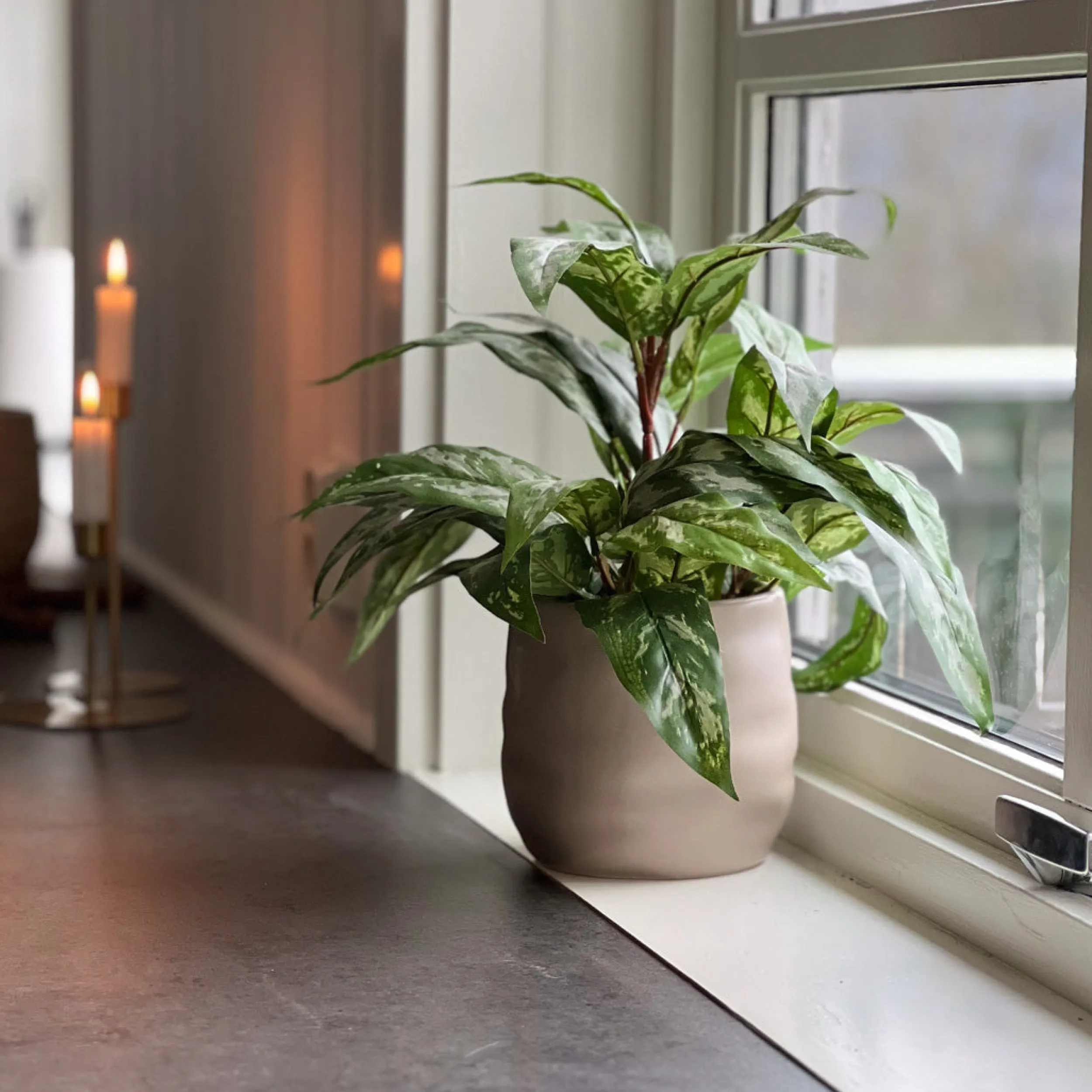 Sale Mr. Plant Aglonema 35 cm Kunstige Planter