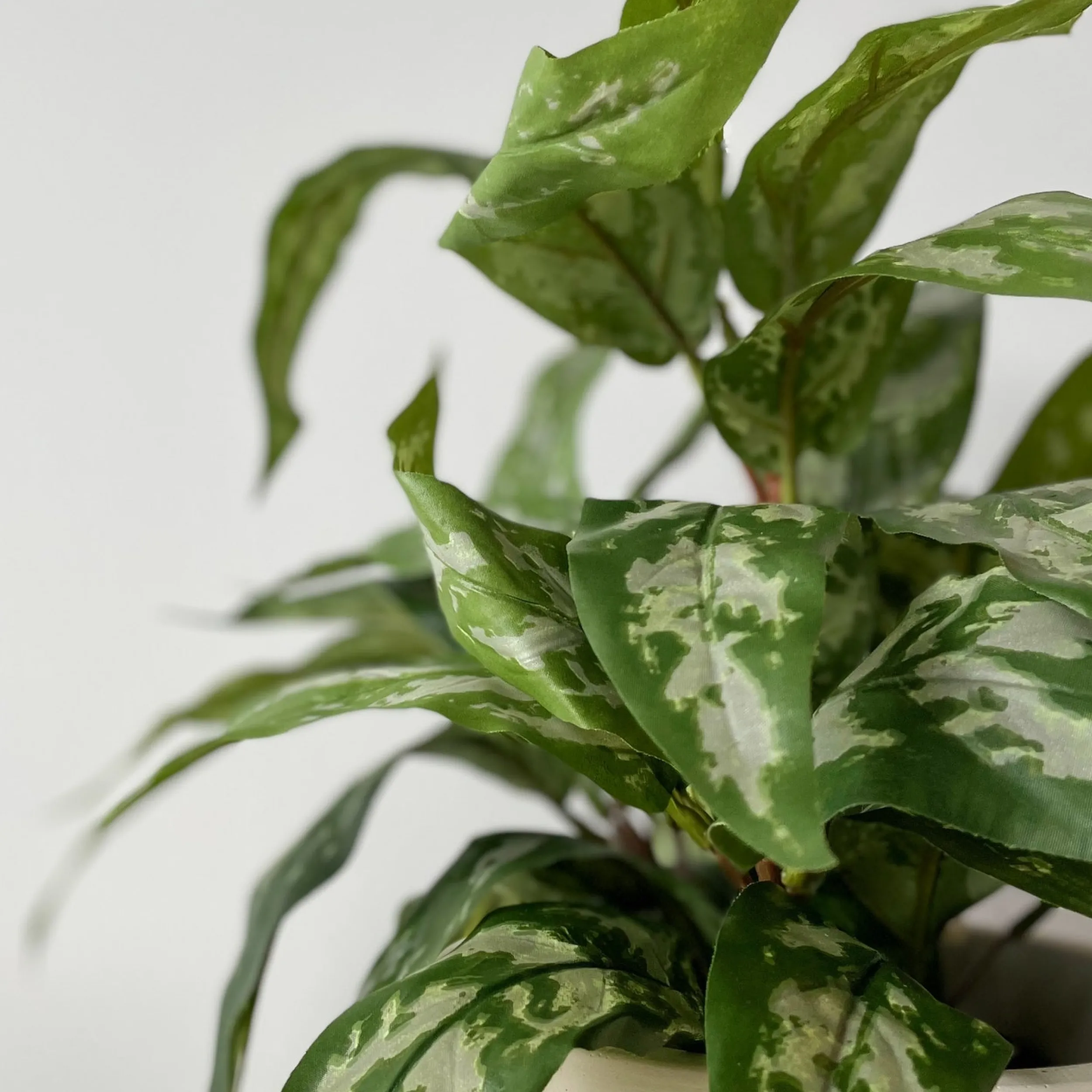 Sale Mr. Plant Aglonema 35 cm Kunstige Planter