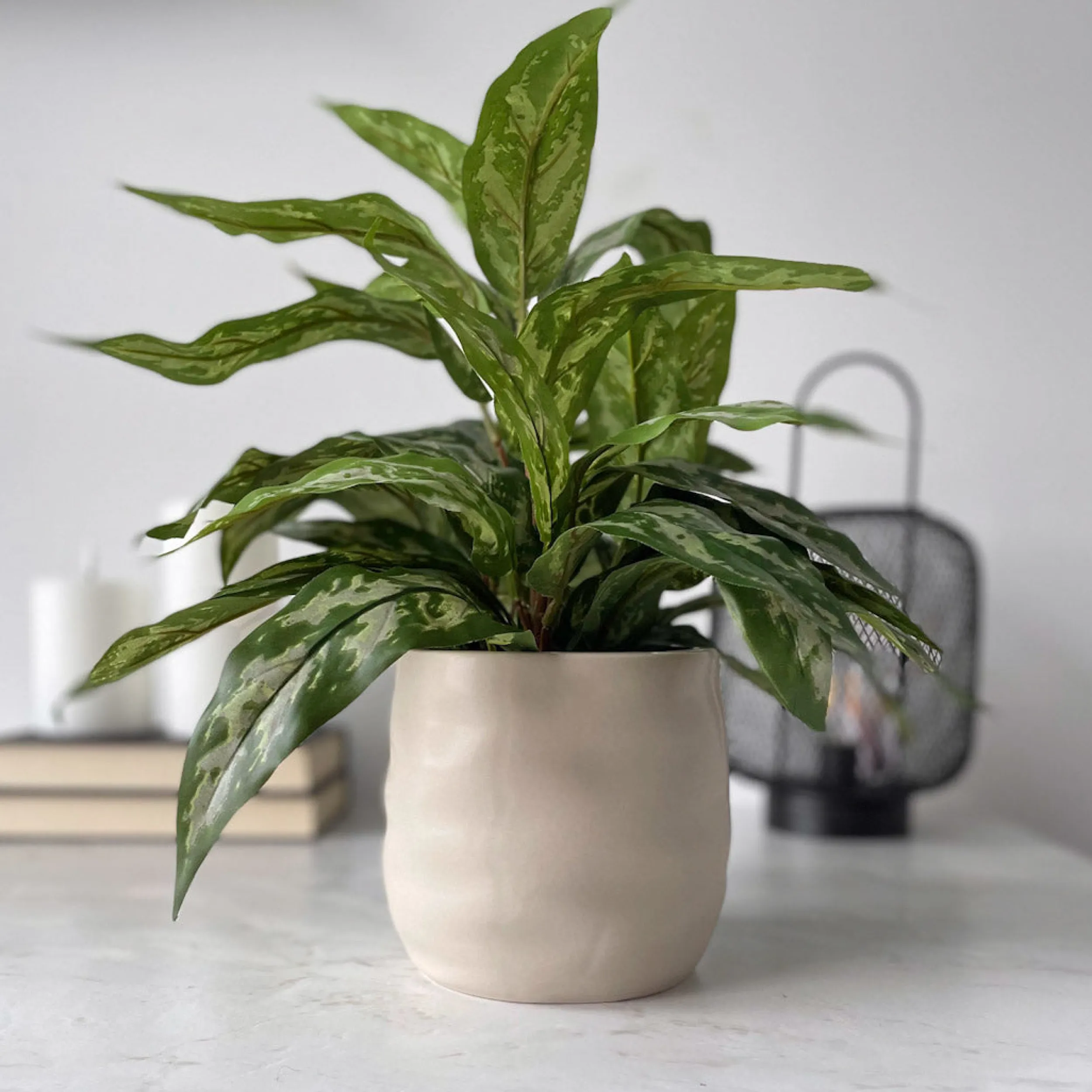 Sale Mr. Plant Aglonema 35 cm Kunstige Planter
