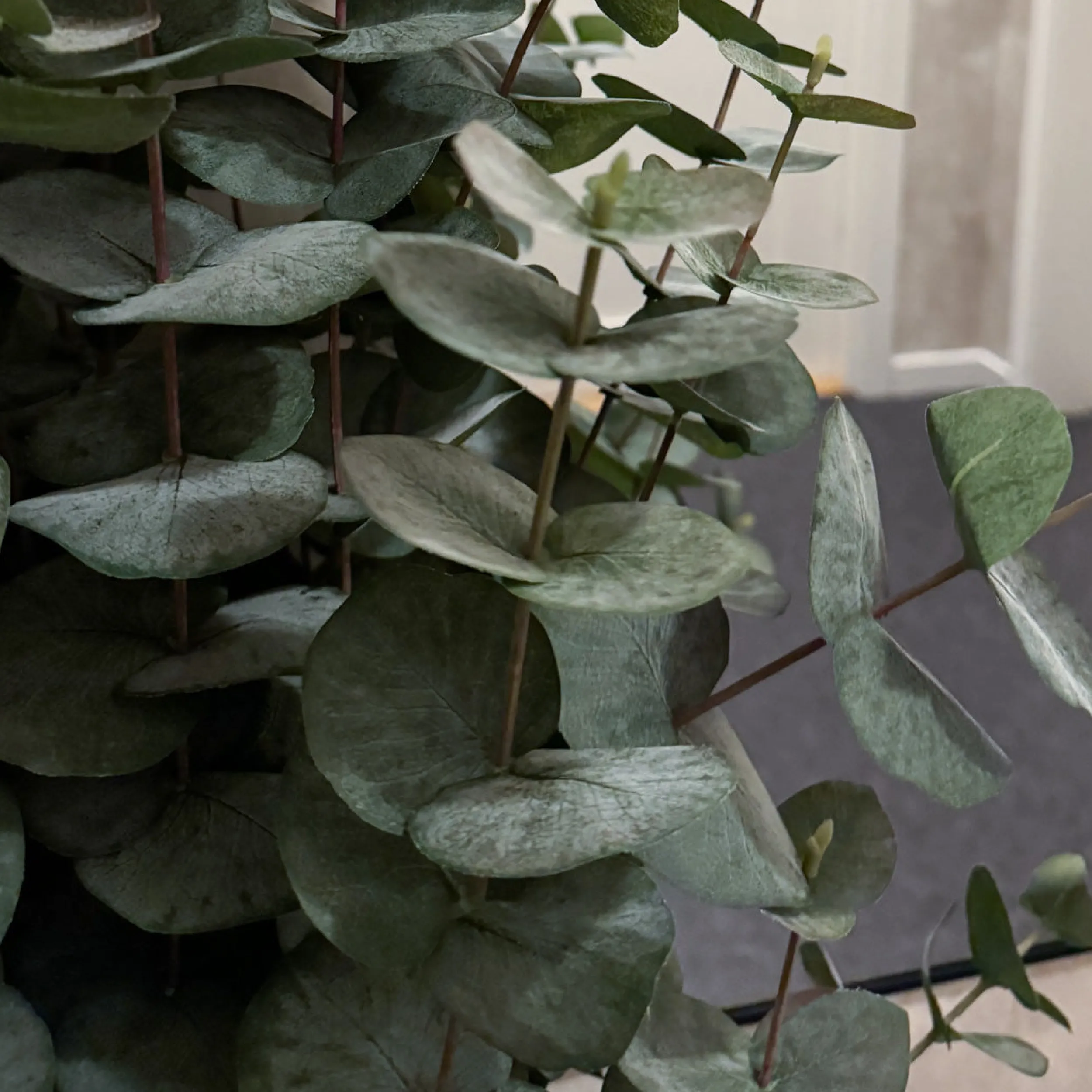 New Mr. Plant Eucalyptus 110 cm Kunstige Planter