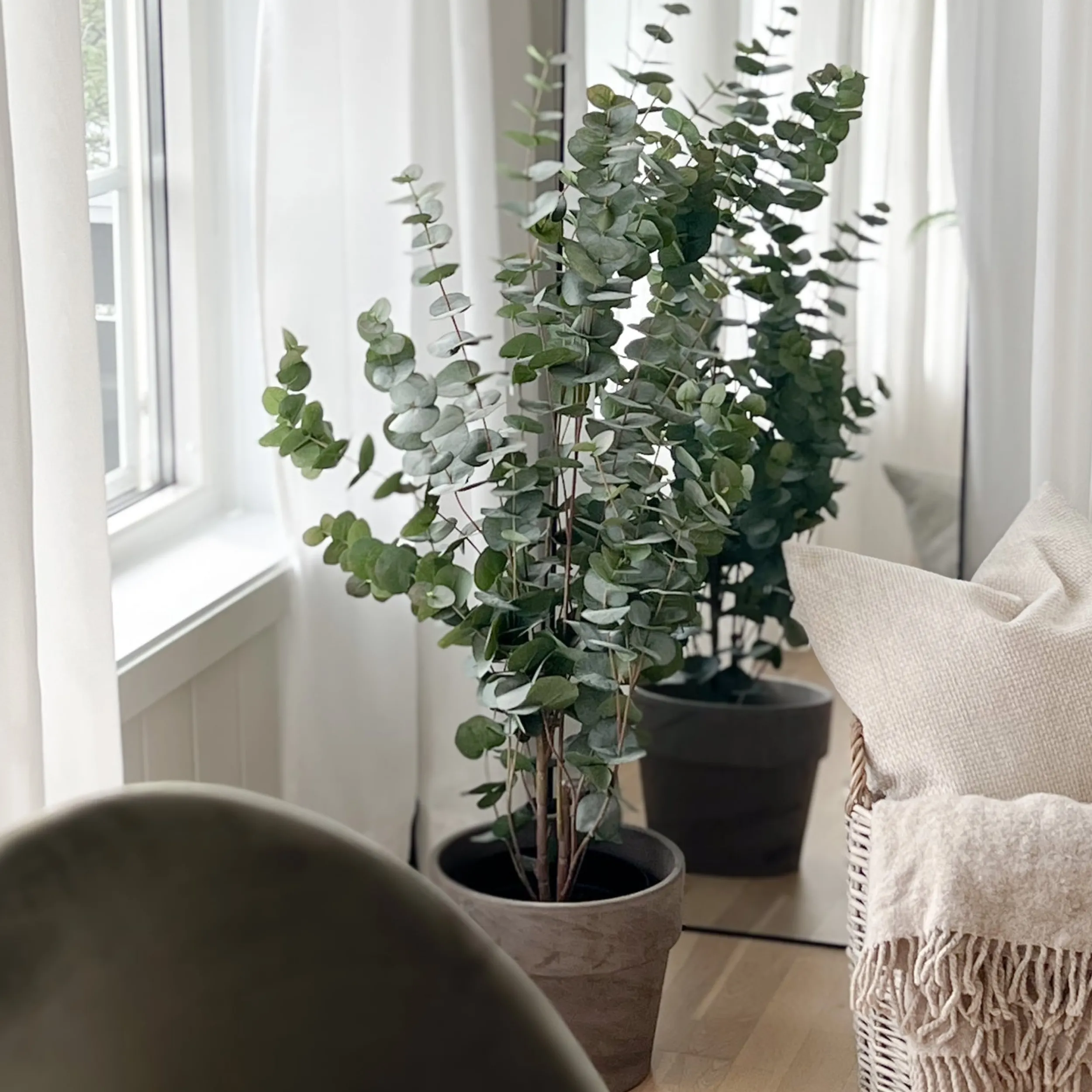 New Mr. Plant Eucalyptus 110 cm Kunstige Planter