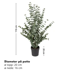 New Mr. Plant Eucalyptus 110 cm Kunstige Planter