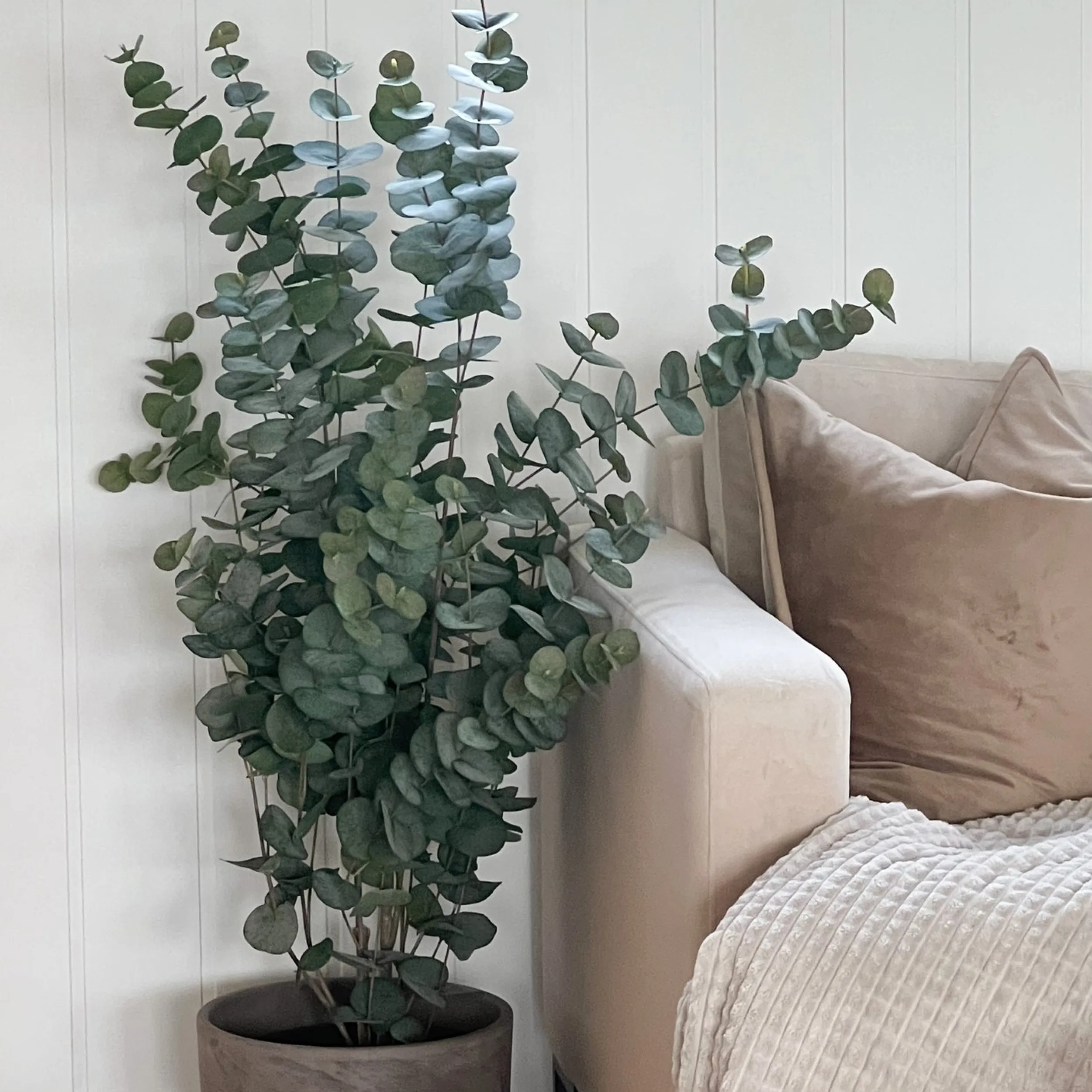 New Mr. Plant Eucalyptus 110 cm Kunstige Planter