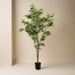 Clearance Mr. Plant Fikus Benjamin 180 cm Kunstige Planter
