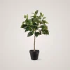 Online Mr. Plant Fikus Benjamin 36 cm Kunstige Planter