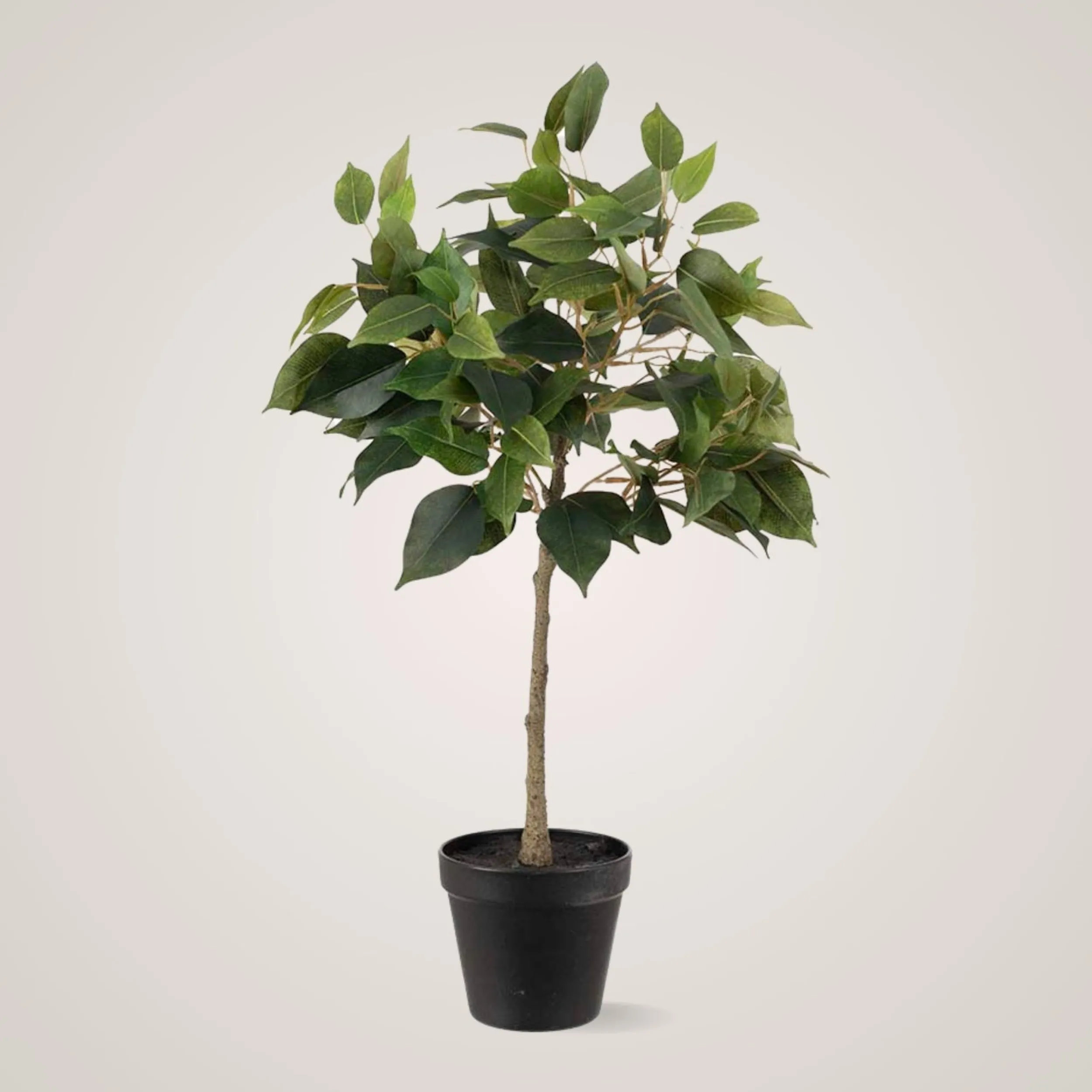 Online Mr. Plant Fikus Benjamin 36 cm Kunstige Planter