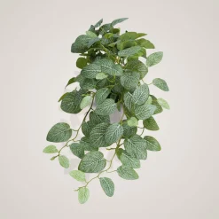 Online Mr. Plant Fittonia, 50 cm Kunstige Planter