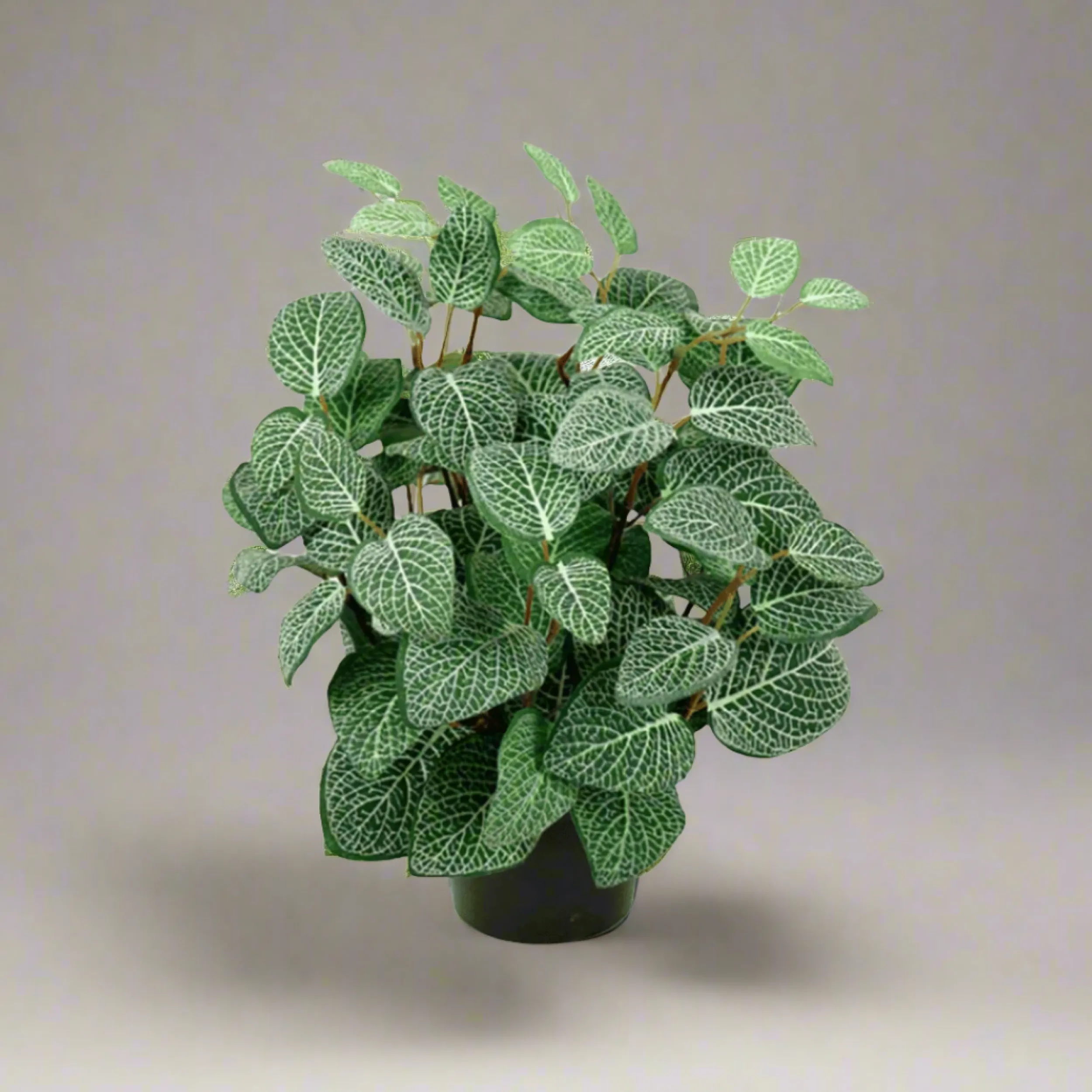 Outlet Mr. Plant Fittonia, 34 cm Kunstige Planter