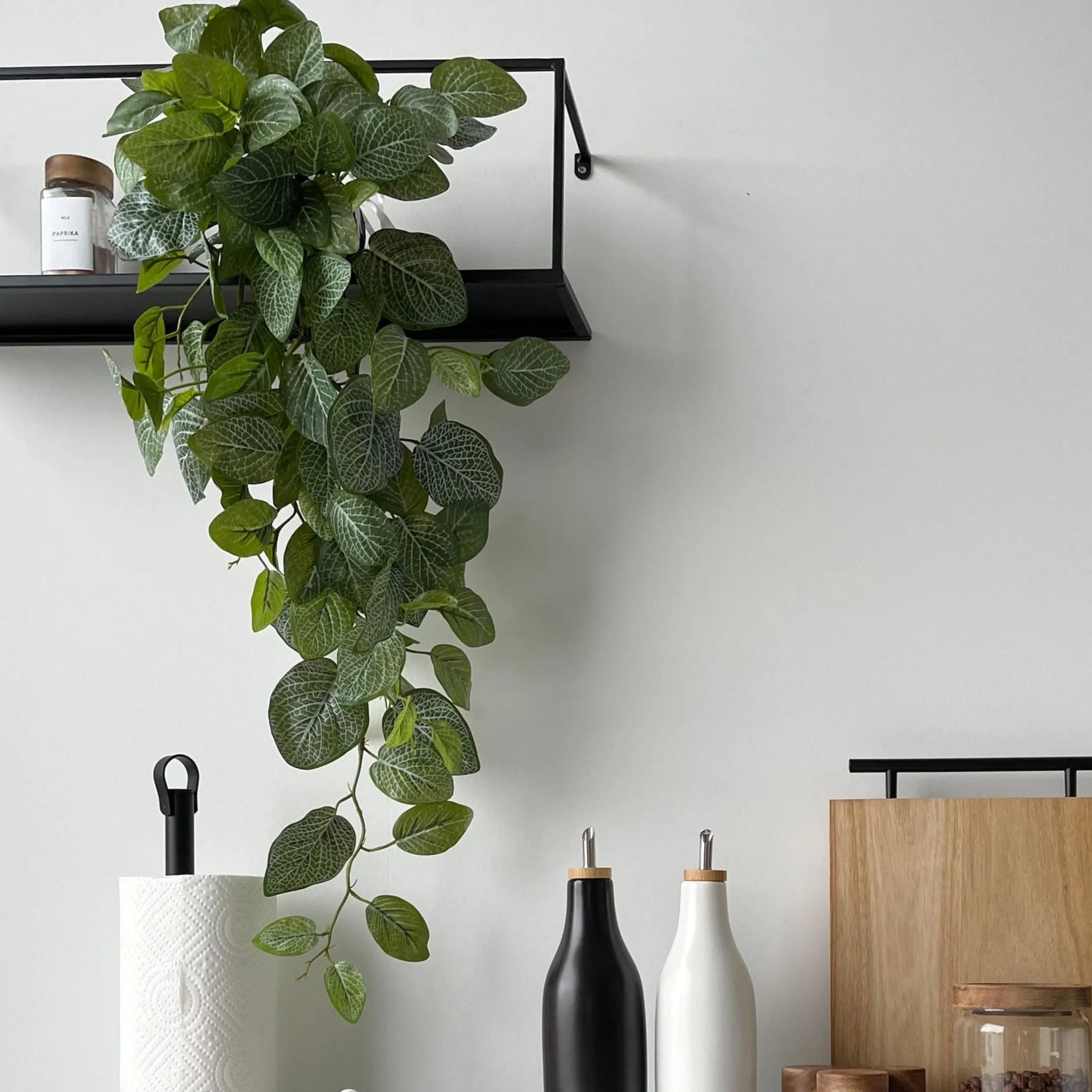 Online Mr. Plant Fittonia, 50 cm Kunstige Planter