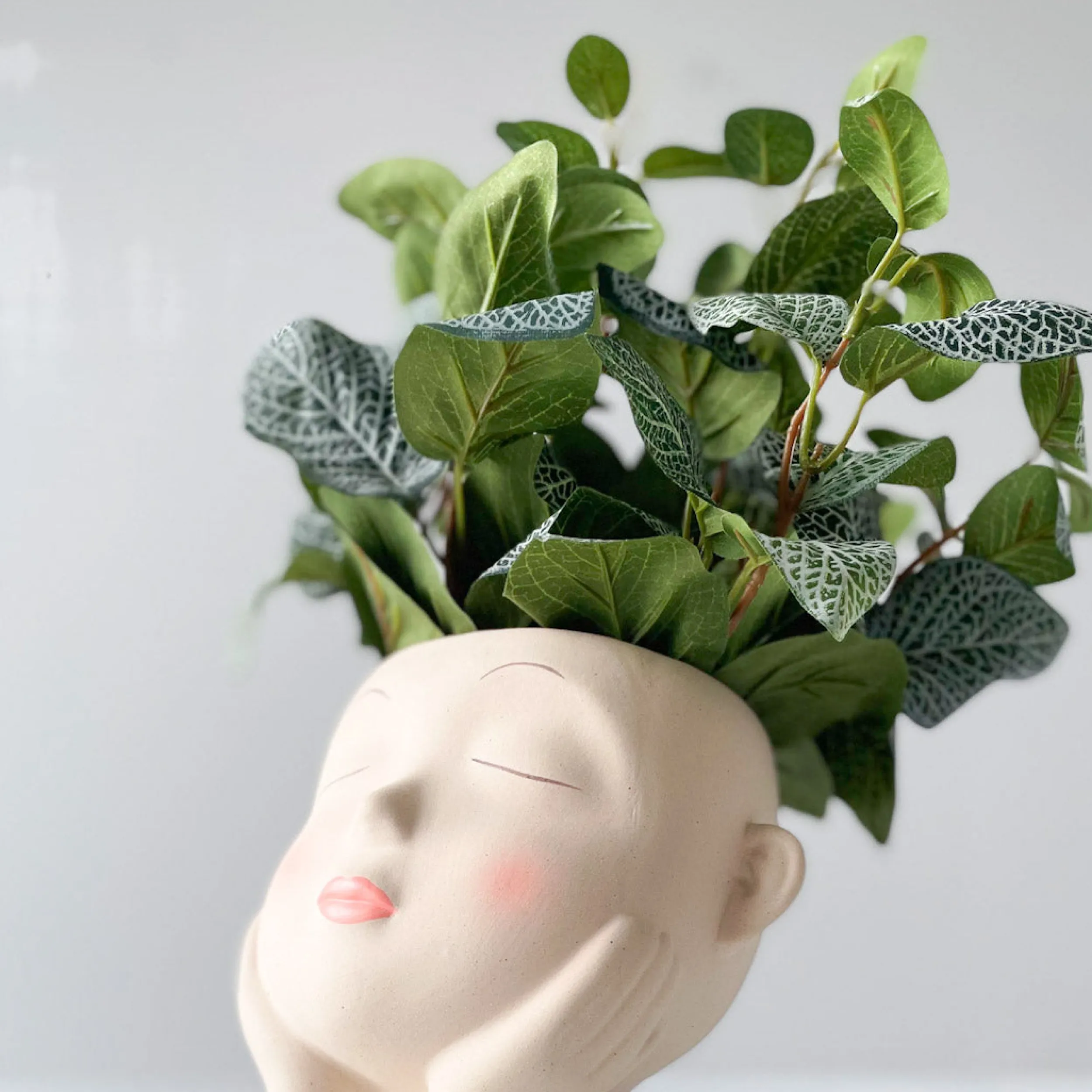 Outlet Mr. Plant Fittonia, 34 cm Kunstige Planter