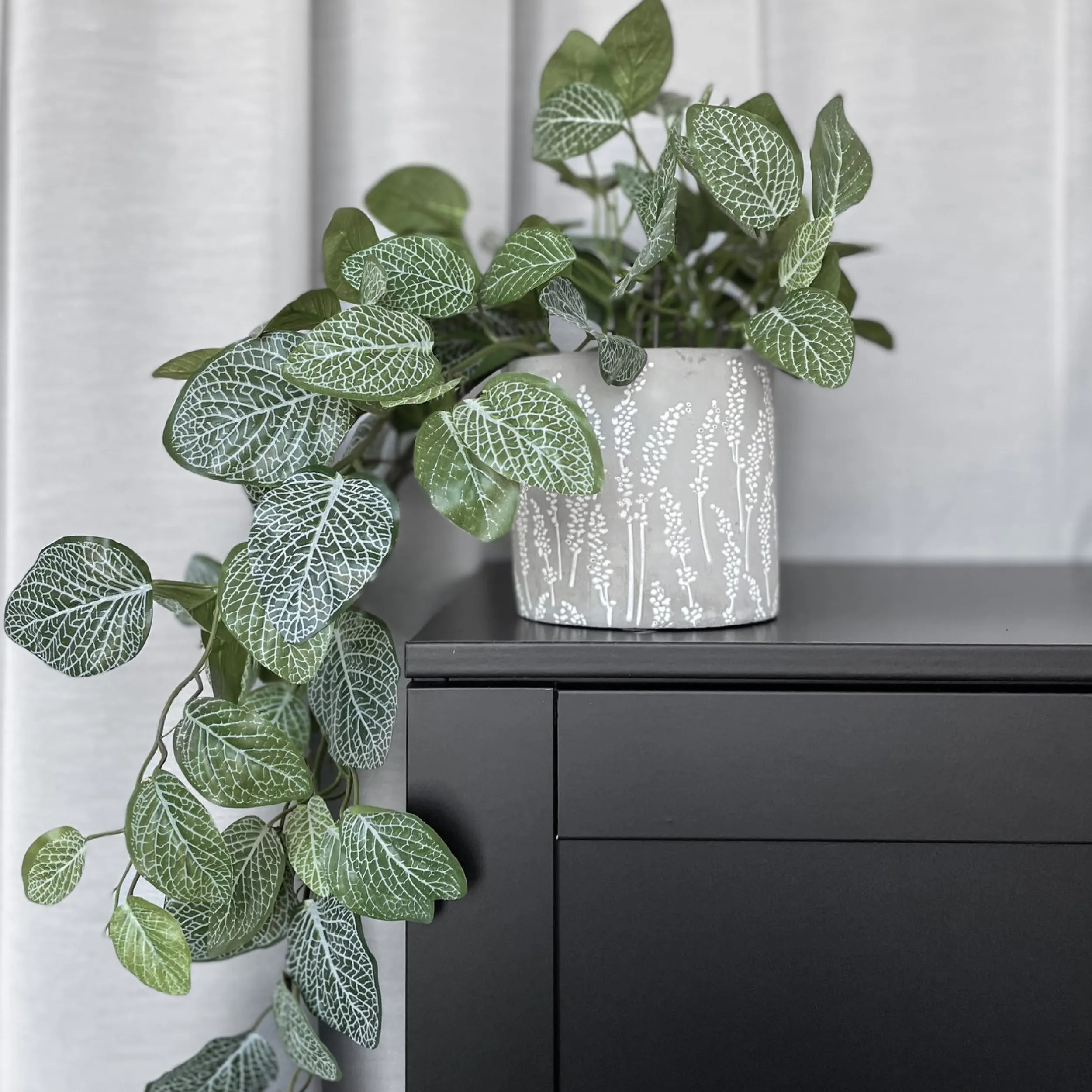 Online Mr. Plant Fittonia, 50 cm Kunstige Planter