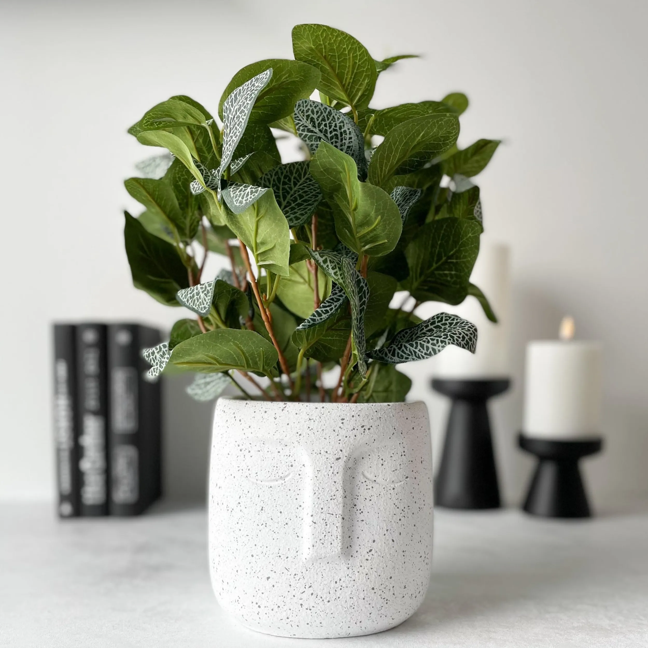 Outlet Mr. Plant Fittonia, 34 cm Kunstige Planter