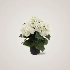 Hot Mr. Plant Hortensia 30 cm Kunstige Planter