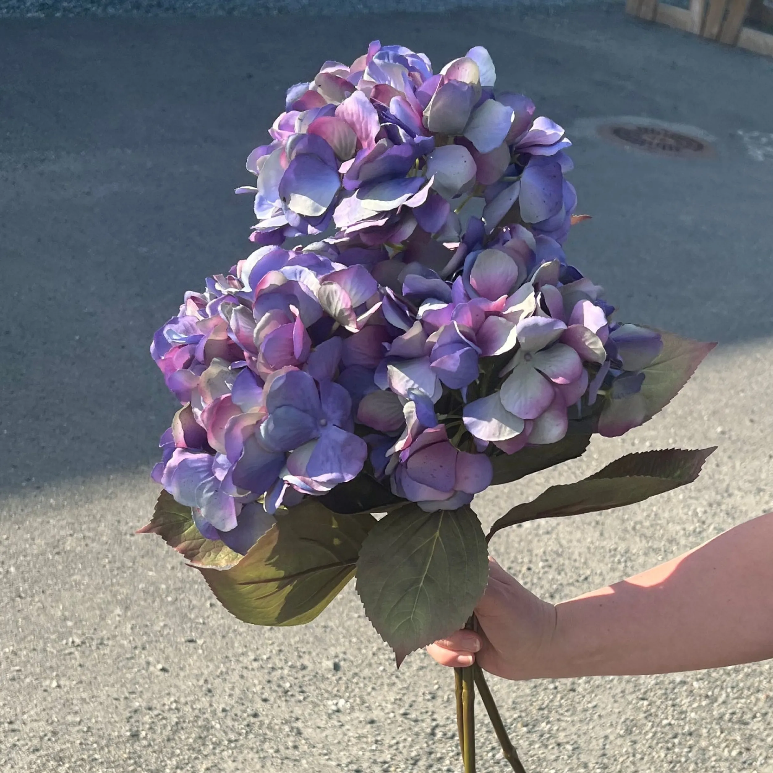 Sale Mr. Plant Hortensia blå/lilla, 65 cm Kunstige Planter