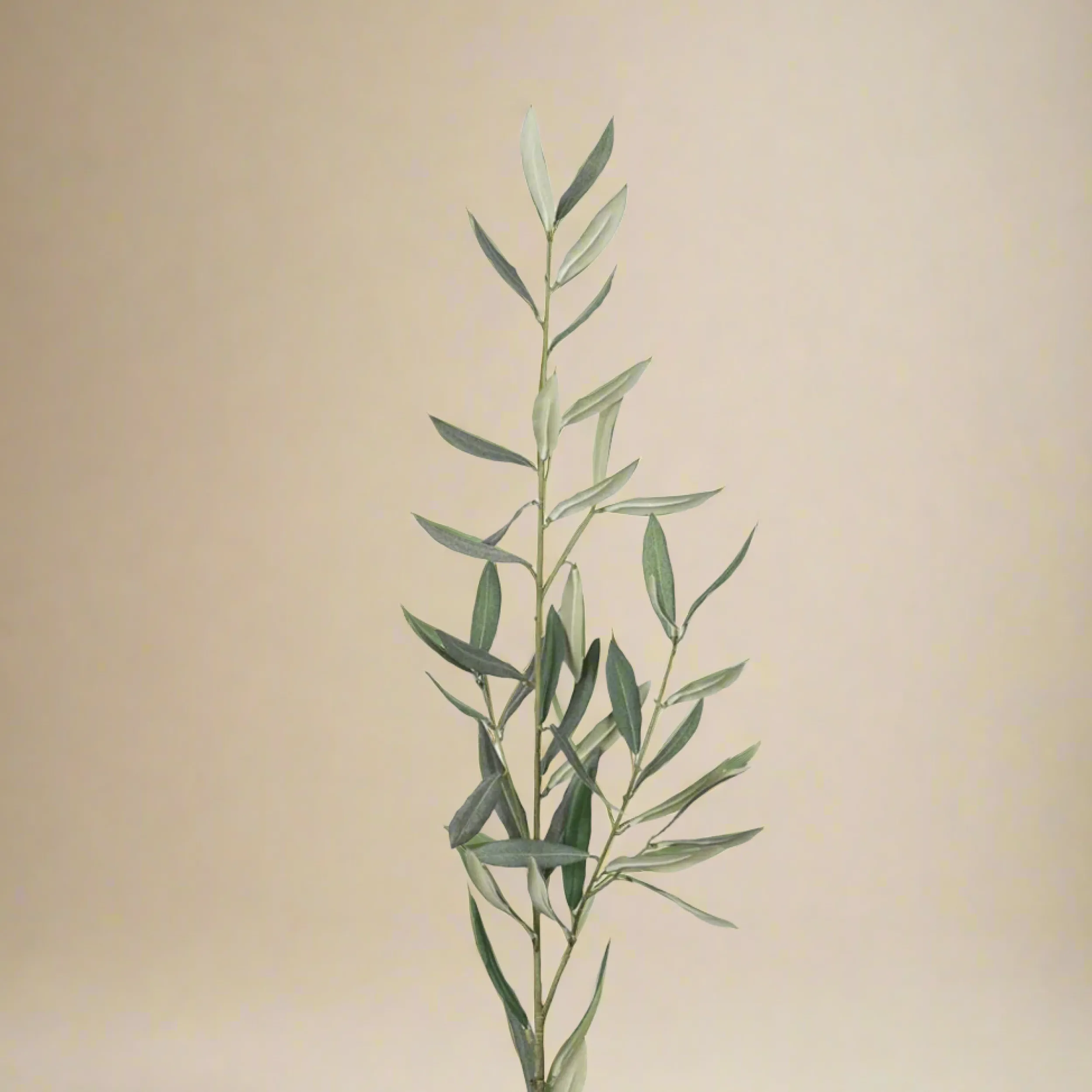 Online Mr. Plant Olivenkvist 50 cm Kunstige Planter