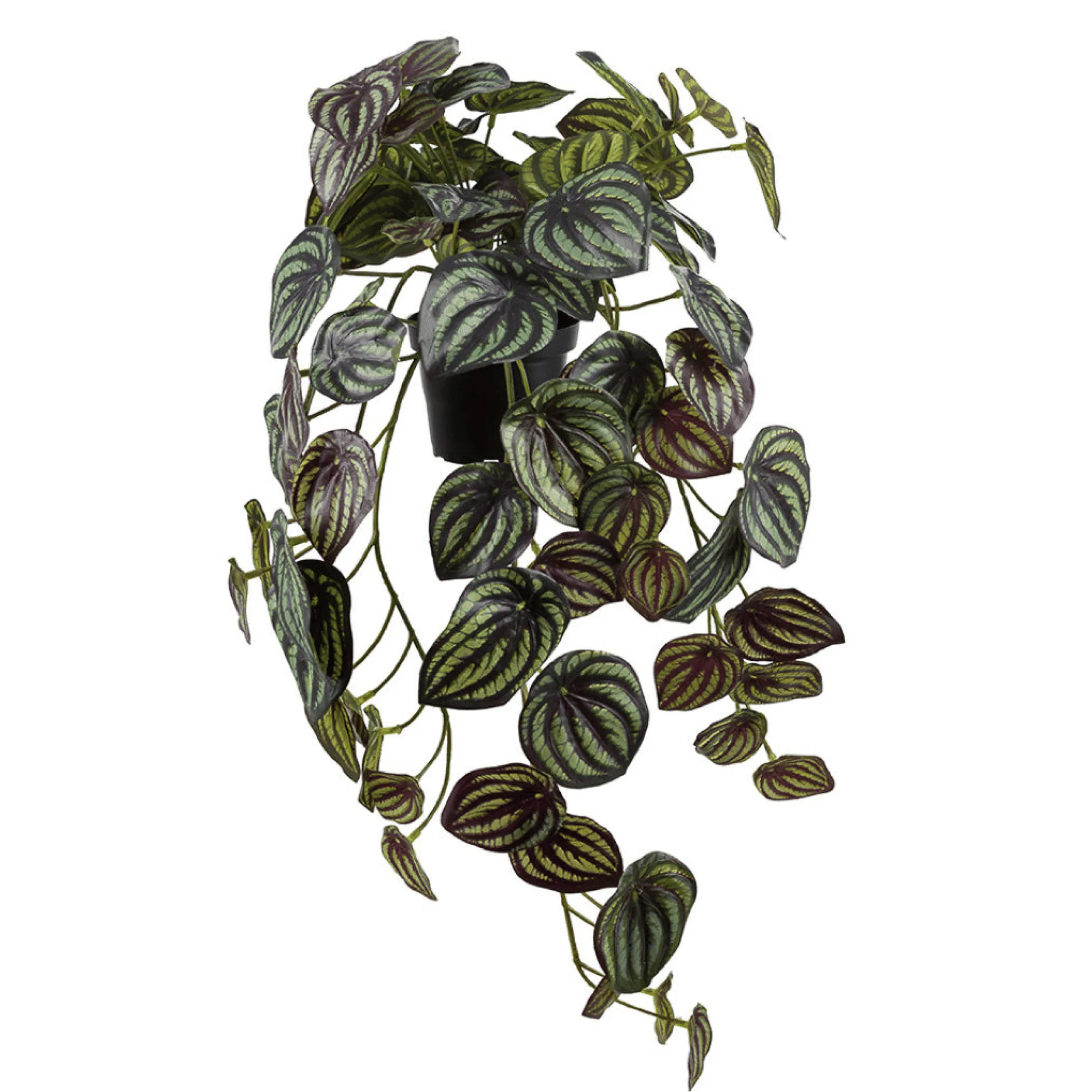 Online Mr. Plant Peperomia 45 cm Kunstige Planter