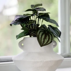 Discount Mr. Plant Peperomia 25 cm Kunstige Planter