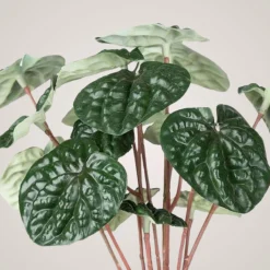 Best Mr. Plant Peperomia, 20 cm Kunstige Planter