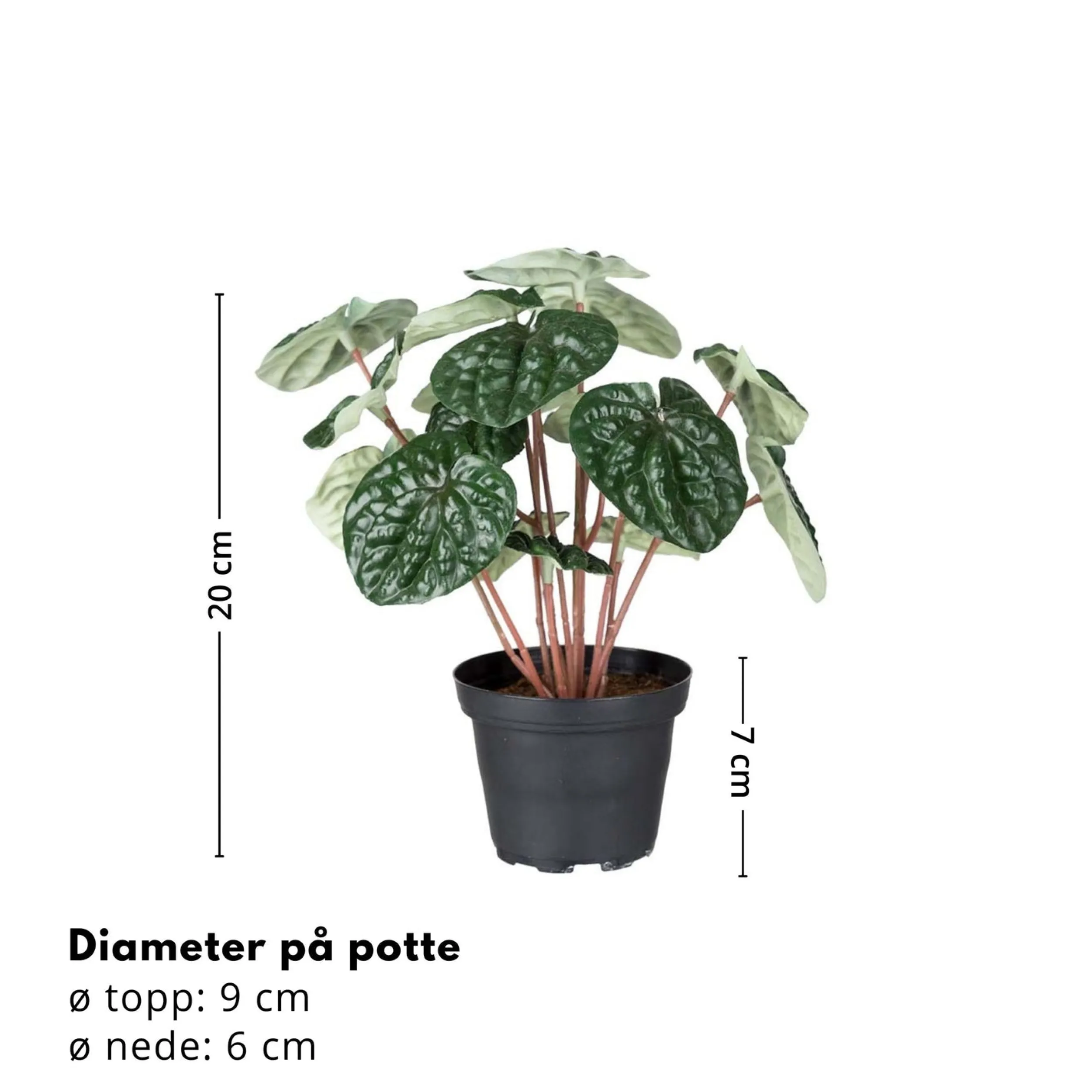 Best Mr. Plant Peperomia, 20 cm Kunstige Planter