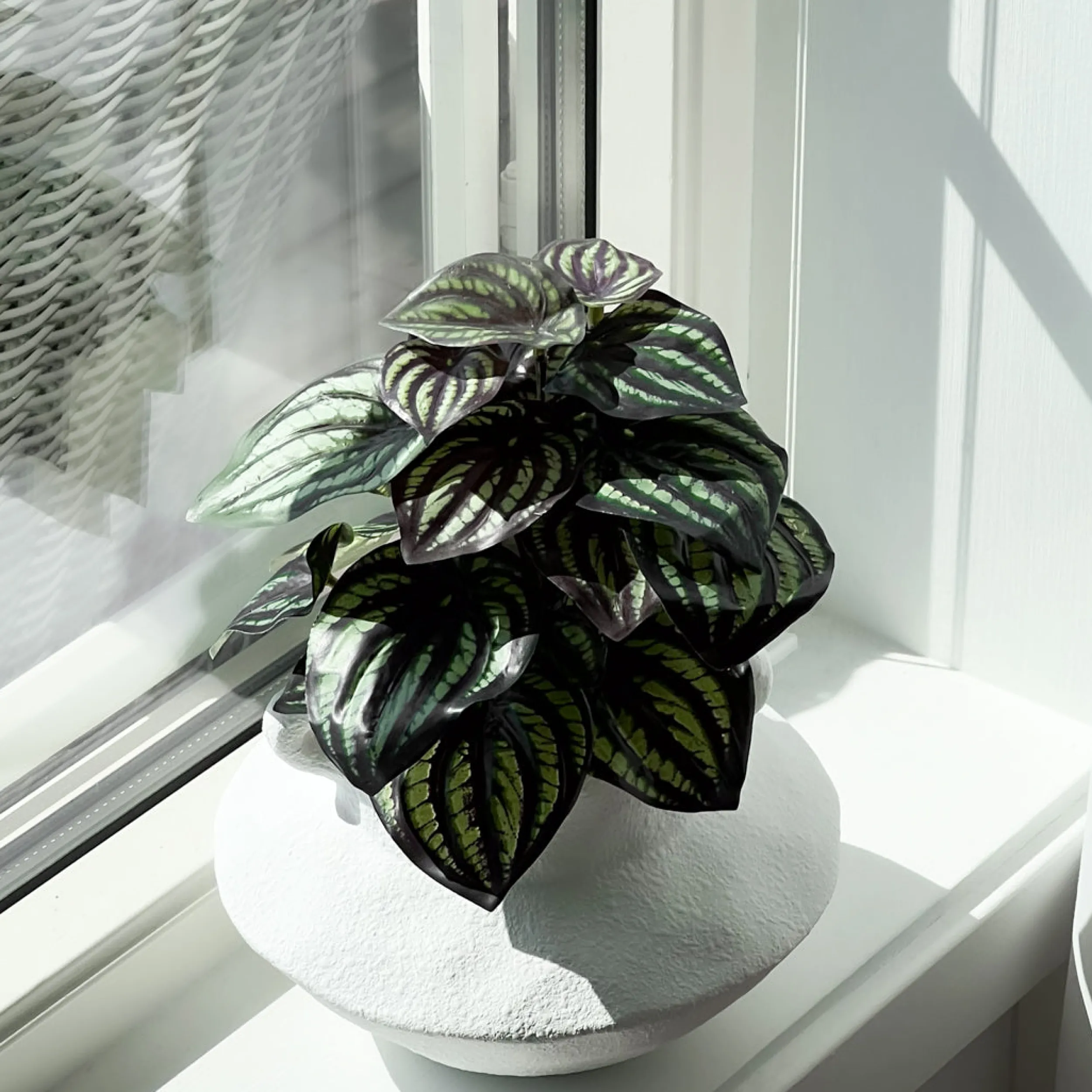 Discount Mr. Plant Peperomia 25 cm Kunstige Planter