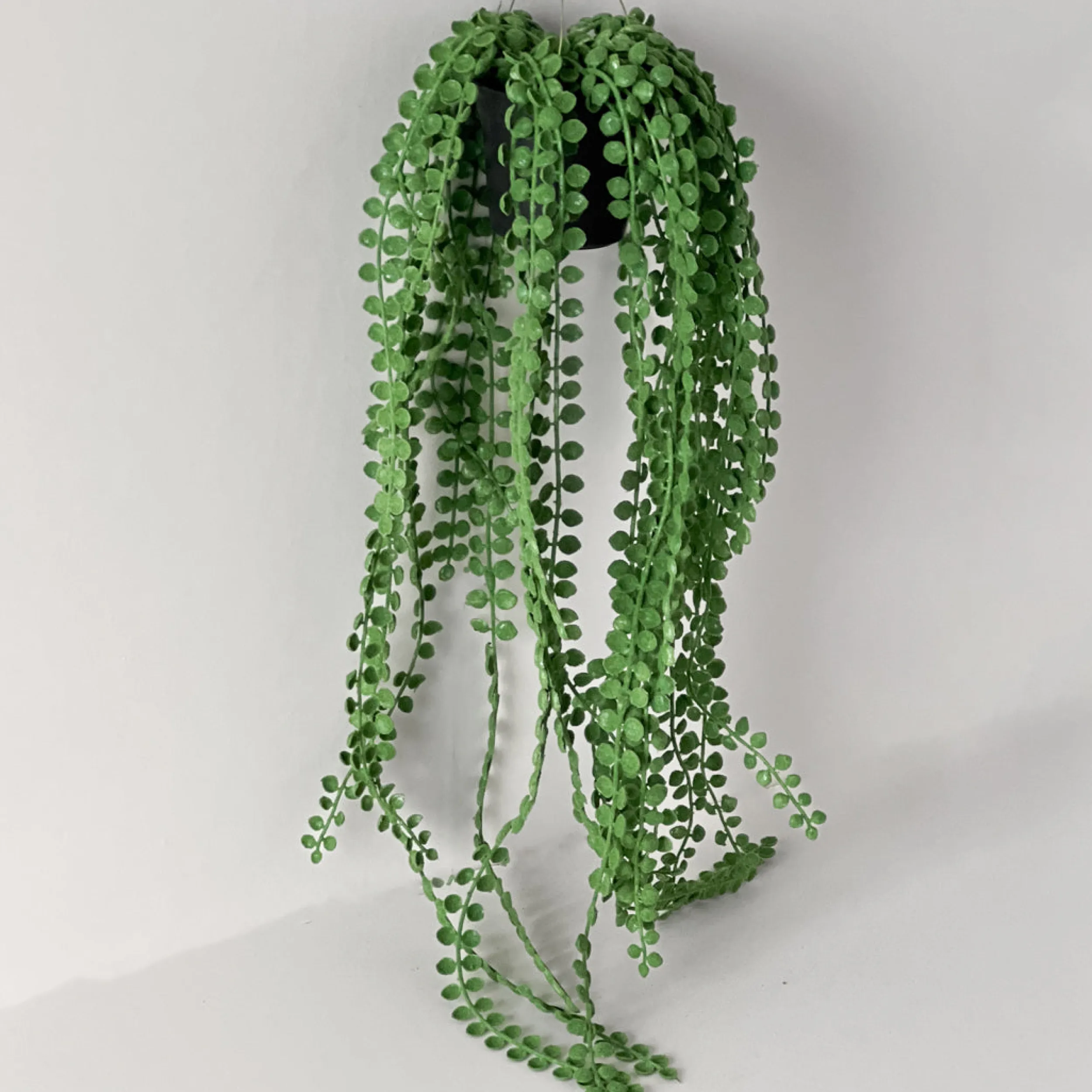 Sale Mr. Plant Pilea, 55 cm Kunstige Planter