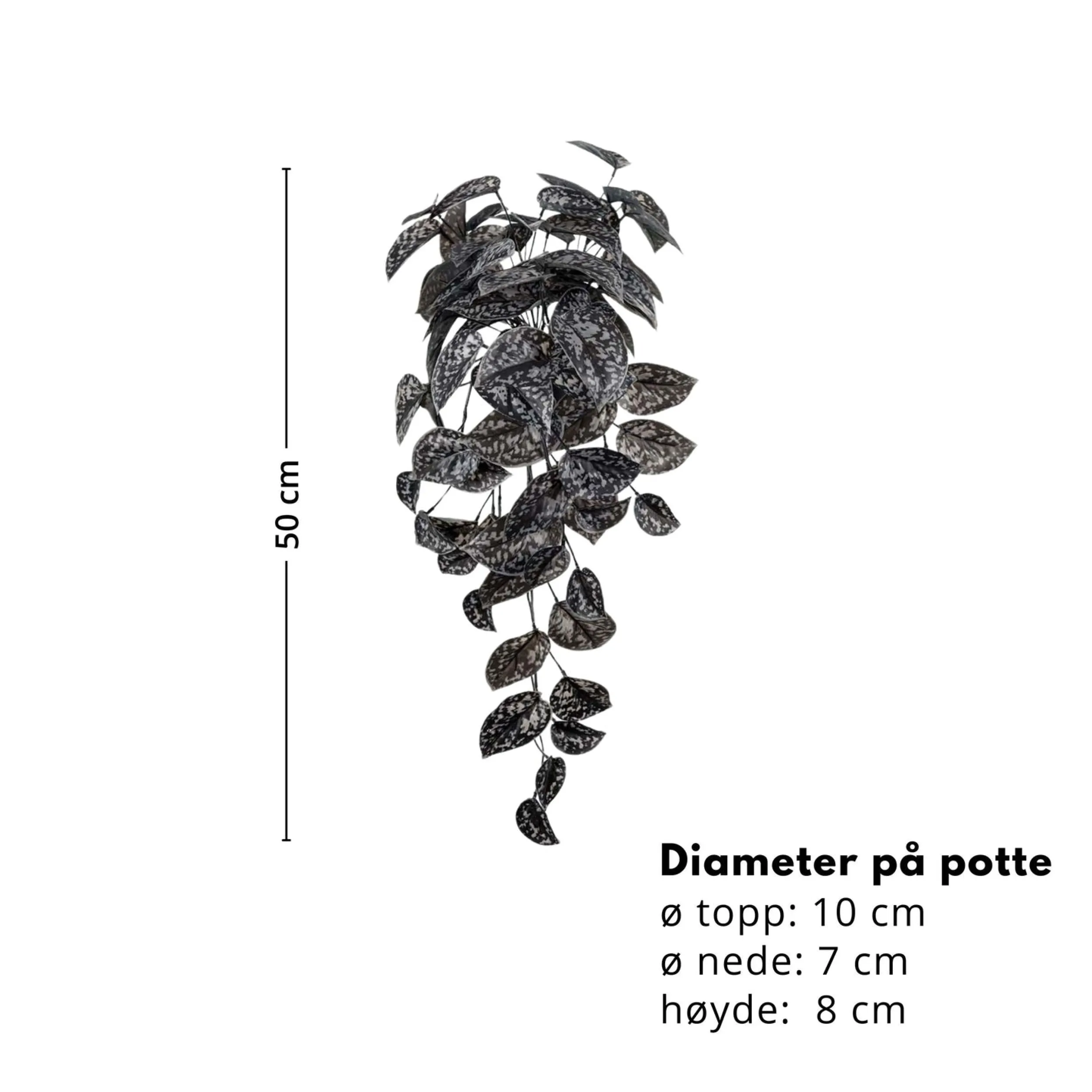 Clearance Mr. Plant Silverranka, 50 cm Kunstige Planter