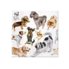 Hot Servietter Happiness 20-pk Borddekking