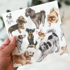 Hot Servietter Happiness 20-pk Borddekking