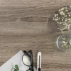 Sale Sonoma Eike Trøffel kontaktplast Bord | Trapp