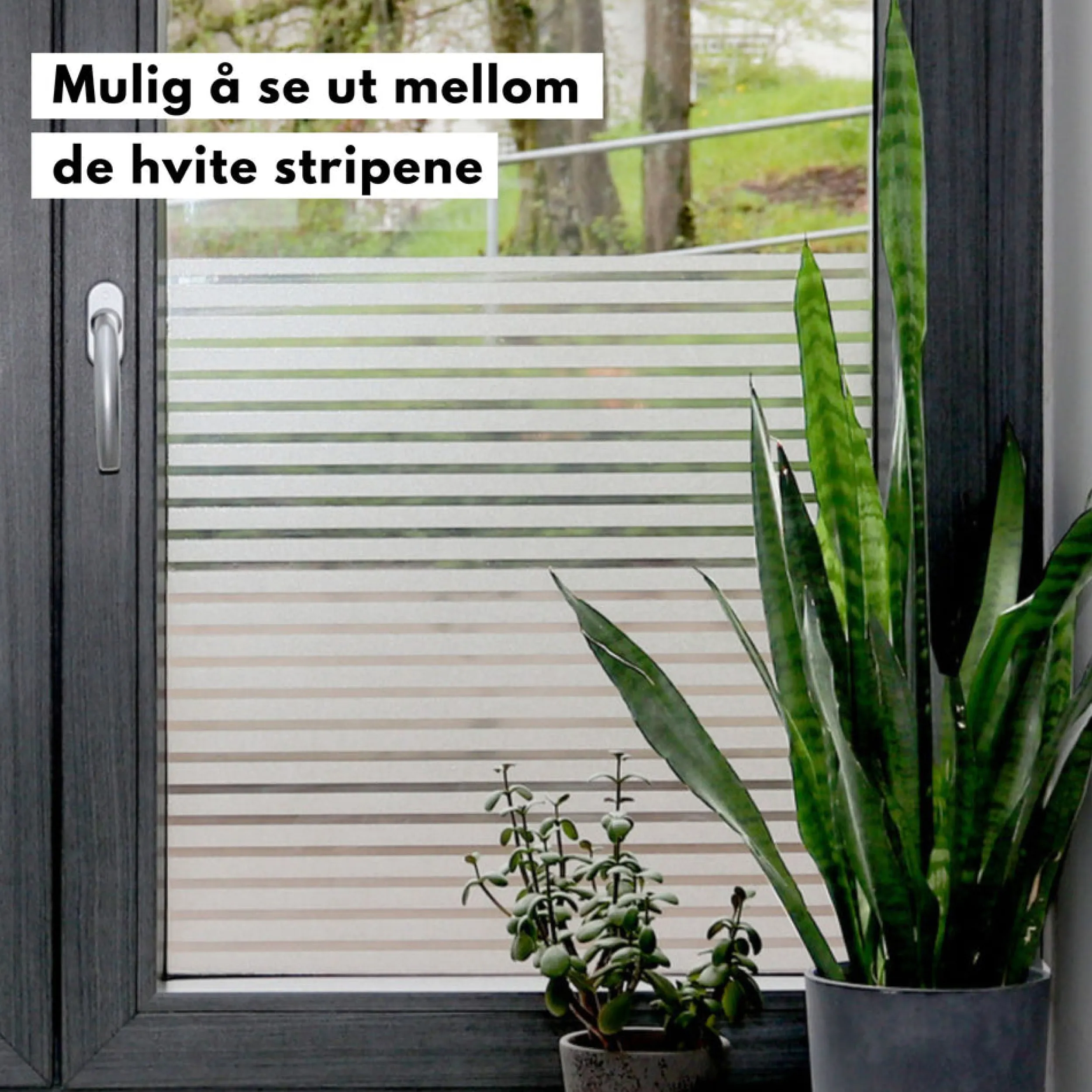 Sale Static Clarity vindusfolie Vindusfolie
