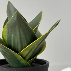 Outlet Sukkulent potteplante Kunstige Planter